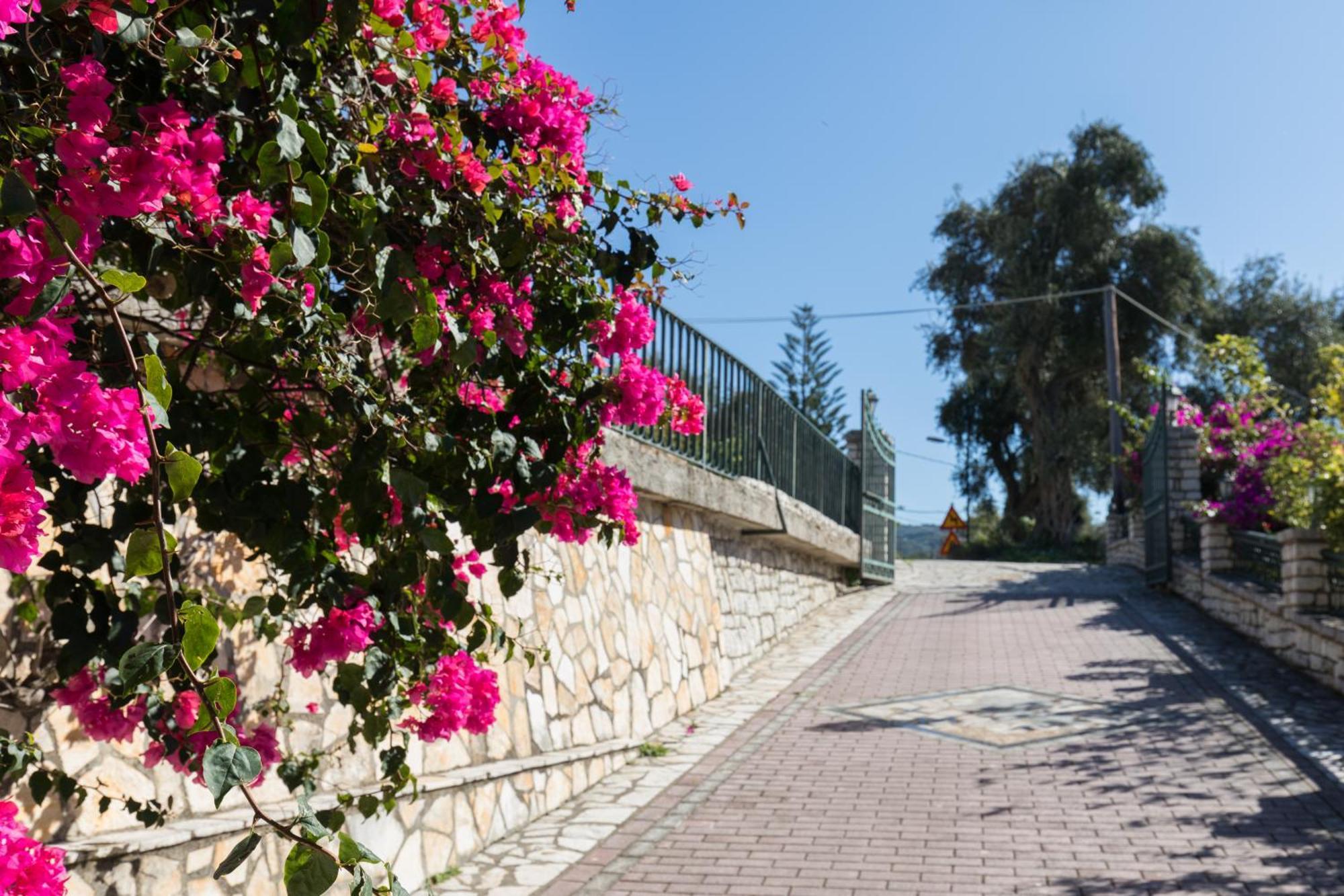 Villa Anthoussa In Palaiokastritsa Esterno foto